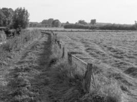 voorjaar tijd in Noordrijn-Westfalen foto