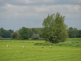 de klein dorp van loikum foto