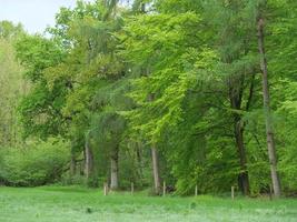 wandelen in een Woud in de buurt ahaus Duitsland foto