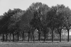 de Duitse münsterland foto