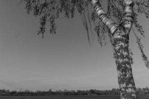 zomer in Westfalen foto