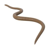 rubber boa 3d illustratie. foto