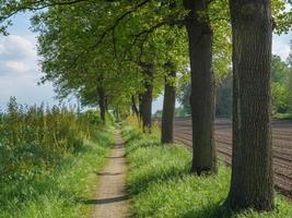 zomer tijd in Westfalen foto