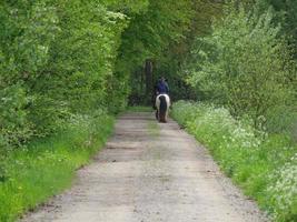 wandelen in een Woud in de buurt ahaus Duitsland foto