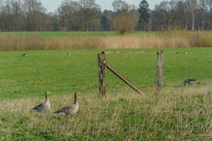 de rivier- aa in de buurt Borken in Duitsland foto