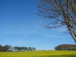 voorjaar tijd in de Duitse baumberge foto