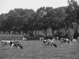 Westfalen in Duitsland foto