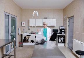 vrouw veterinair portret foto