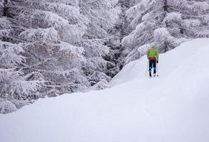 Mens genieten van kruis land skiën foto