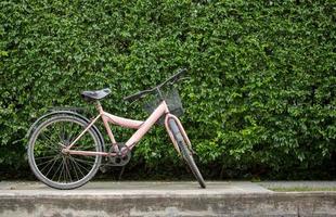 fiets Aan blad muur achtergrond foto