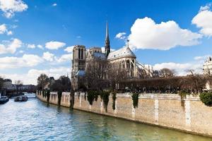 kathedraal notre lady de Parijs en Seine rivier- foto