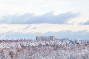 blauw wolken over- stedelijk park en huizen in winter foto