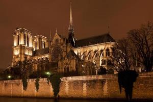 kathedraal notre lady de Parijs foto