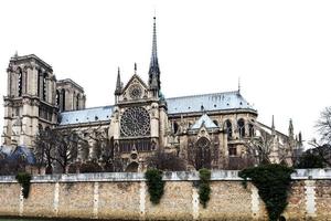 kathedraal notre lady de Parijs foto