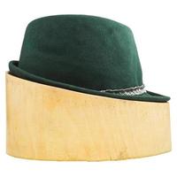groen Tirools voelde hoed Aan linde hout blok foto