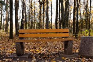 een herfst idylle, een eenzaam park bank wacht bezoekers. foto