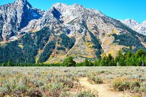 groots tetons Aan een Doorzichtig herfst dag foto