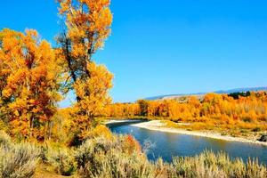 een rivier- in de groots tetons omringd door vallen kleuren foto