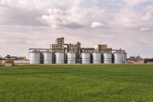 agro silo's graanschuur lift met zaden reinigingslijn op agro-processing fabriek voor het verwerken van droogreiniging en opslag van landbouwproducten, meel, granen en graan. foto