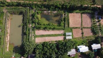 antenne visie van berg is mooi in Thailand foto