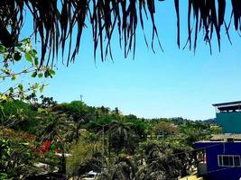 tropisch Sayulita horizon foto