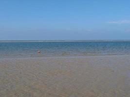 het eiland Spiekeroog foto