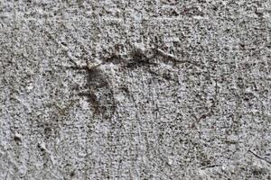 gedetailleerd dichtbij omhoog visie Aan oud beton muren met scheuren en veel van structuur foto