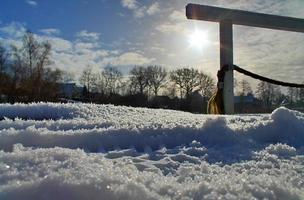 mooi winter schot Bij een meer en Woud met sneeuw en ijs. foto