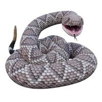 western diamondback ratelslang 3d illustratie foto