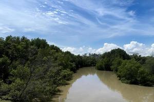 rivier- met mangrove bossen Aan beide kanten. onder de blauw lucht en wit wolken. Bij phra chedi klang naam, pak naam, rayong, Thailand. foto