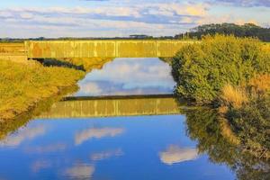 noorden Duitse rivier- dijk Woud bomen natuur landschap panorama duitsland. foto