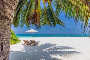 rustig tropisch strand. wit zand en kokosnoot palm boom bladeren reizen toerisme. twee stoelen met bewolkt blauw lucht, idyllisch luxe bestemming eiland toevlucht. verbazingwekkend strand landschap, paar vrijheid concept foto