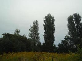 panorama van de herfst veld- in de dorp foto