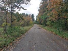 herfst weg in de Woud na de laatste regen foto