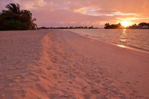 tropisch strand visie foto