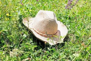 rietje cowboy hoed Aan groen weide foto