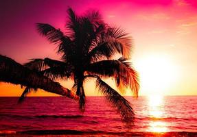 silhouet van palm boom Aan de strand gedurende zonsondergang van mooi een tropisch strand Aan roze lucht achtergrond foto