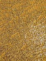 helder rimpelingen Aan de oppervlakte van de water. gouden zand onder de briljant rimpelingen Aan de oppervlakte van de water. Ondiep water strand oppervlak, wazig abstract achtergrond. foto