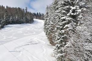 sporen Aan ski hellingen Bij mooi zonnig winter dag foto