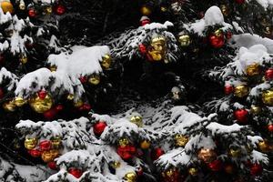 Kerstmis Kerstmis boom bal detail dichtbij omhoog onder de sneeuw foto