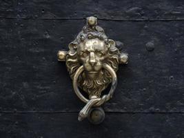 gras Oostenrijk goud deur decoratie leeuw en slang foto