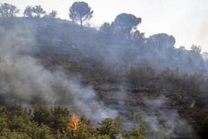 Woud en struik brand in Sicilië foto