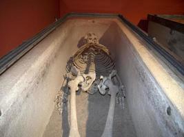 skelet in Romeins marmeren sarcofaag foto
