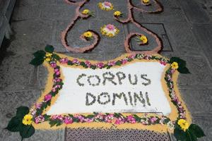 bloemblad en bloem tapijt voor corpus domini christi viering foto