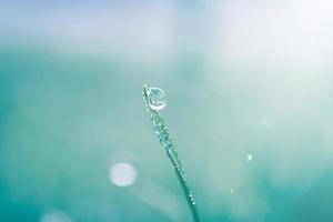 regendruppel op het grasblad in de lente in regenachtige dagen foto