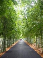 bamboe kant alplast weg foto