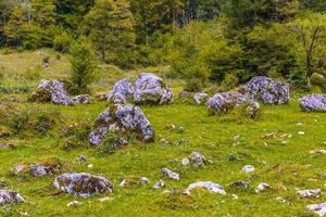 keien in koenigssee, konigsee, berchtesgaden nationaal park, beieren, duitsland foto