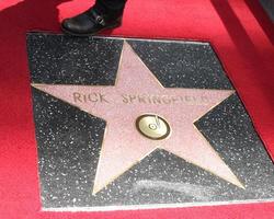 los angeles, 9 mei - rick springfield's ster op de rick springfield hollywood walk of fame ster ceremonie op hollywood blvd op 9 mei 2014 in los angeles, ca foto