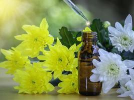 het extract van etherische oliën en medische bloemenkruiden in de buurt van de witte en gele bloem op houten tafel. de etherische olie biologische bio alternatieve geneeskunde, bruine fles. foto