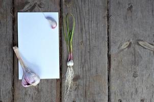 knoflook en knoflook kruidnagel Aan een wit vel met ruimte voor schrijven Aan een houten achtergrond foto